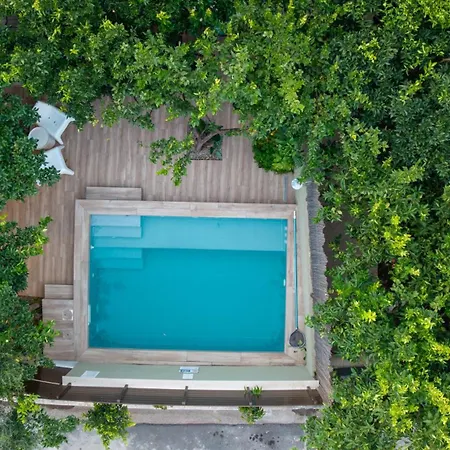 Garden Cellar - Mediterranean * Kalamata