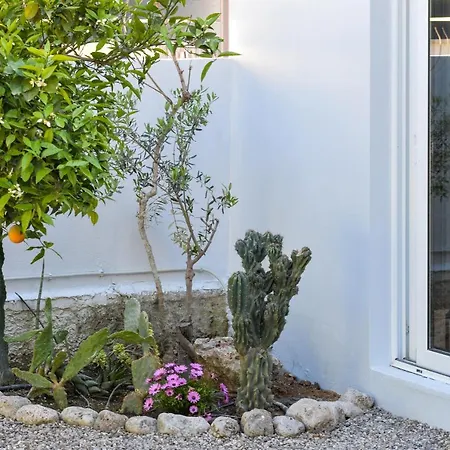 Garden Cellar - Mediterranean