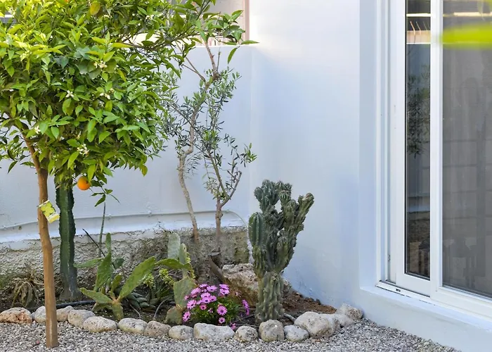 Garden Cellar - Mediterranean